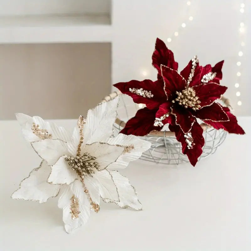 Fleur Etoile de Noel