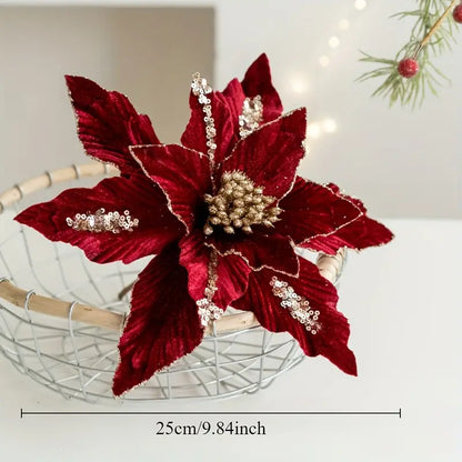 Fleur Etoile de Noel