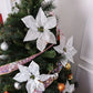 Rose de Noël Intérieur — photo 5