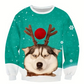 Pull Moche Noel Homme avec Chien en Lunettes Festives