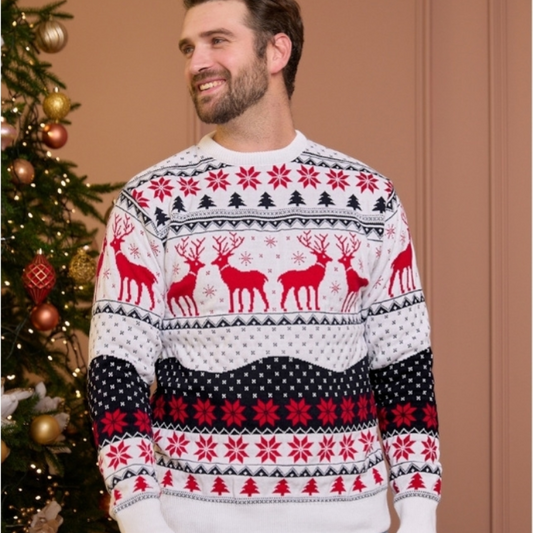 Pull de Noel Homme Motifs Rennes Blanc