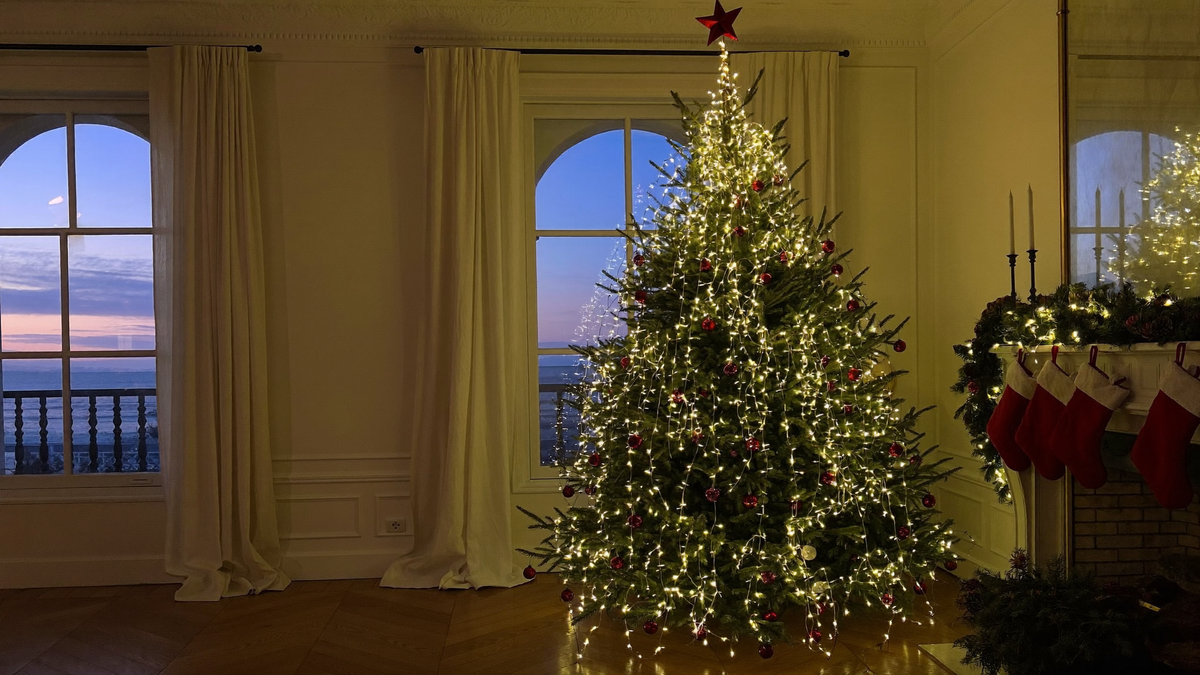 Salon décoré pour Noël, sapin illuminé et cheminée