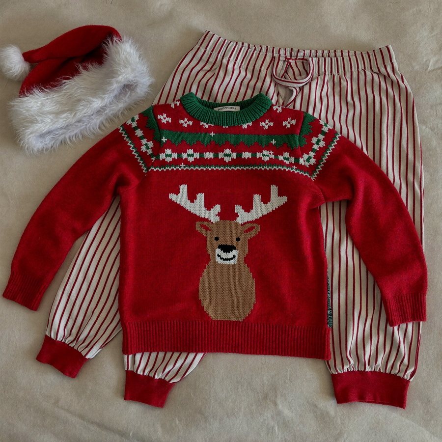 Pull de Noël à motif renne, bonnet et pyjama